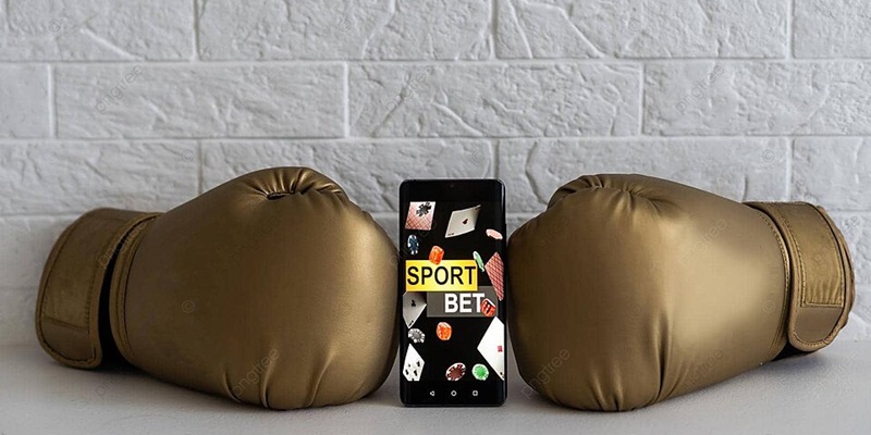 Cá cược Boxing theo hình thức tài xỉu hấp dẫn