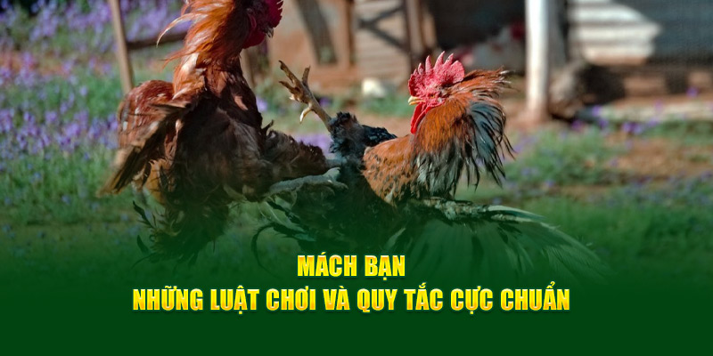 Mách bạn những luật chơi và quy tắc cực chuẩn